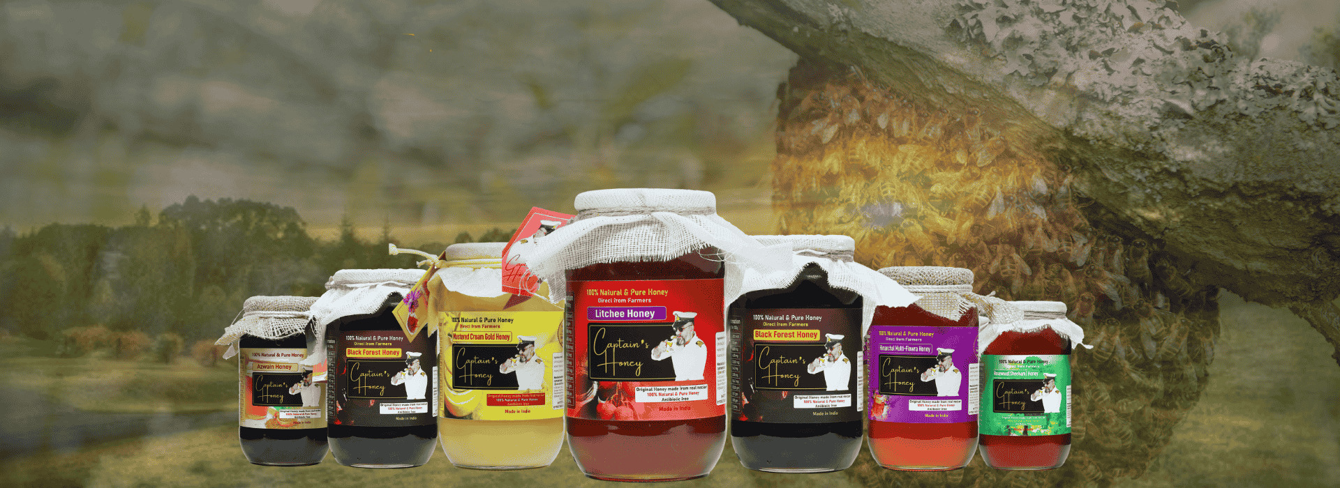 Buy Forest Honey Captain’s Honey
