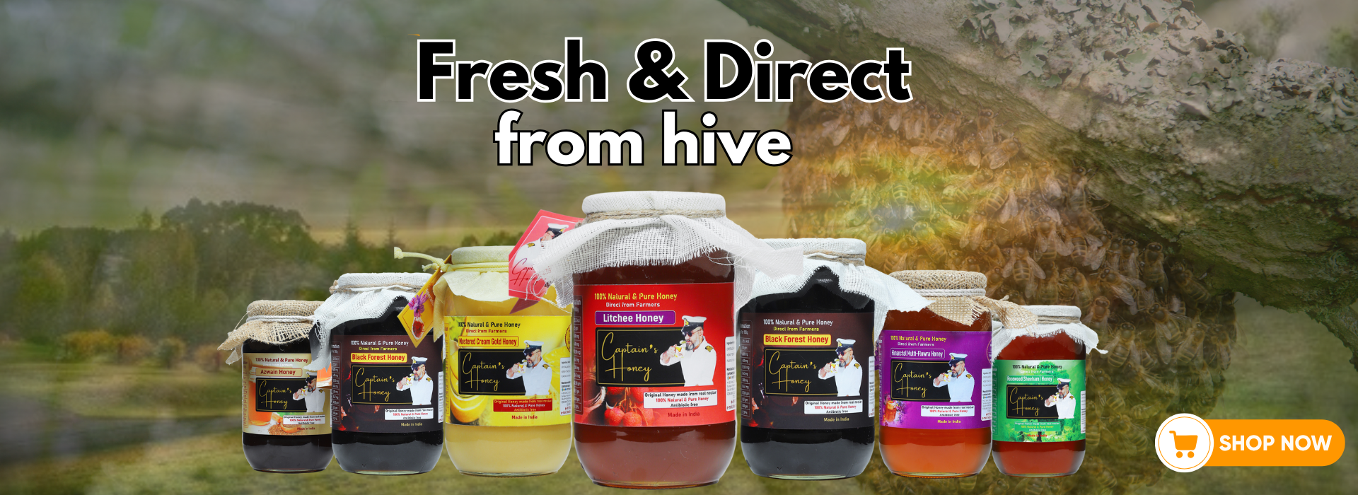 Buy-Forest-Honey-Captains-Honey-2