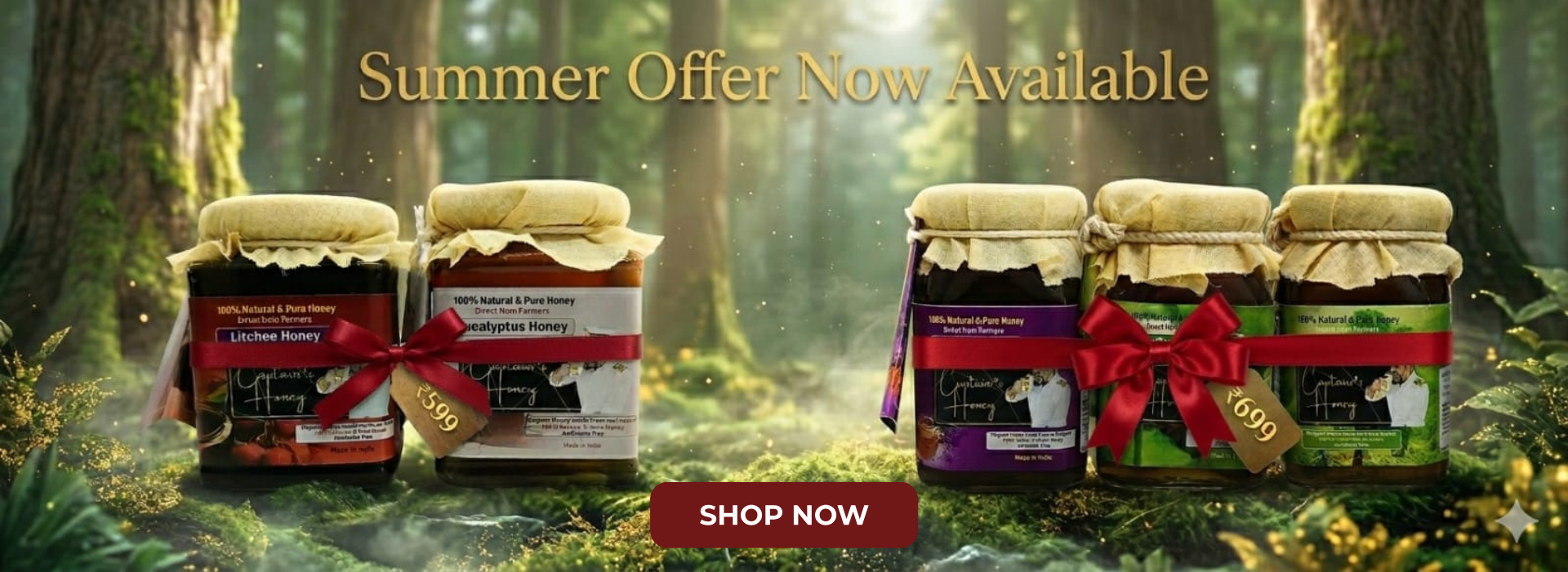 Summer Offer