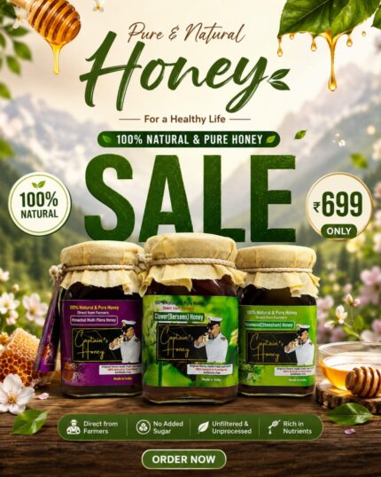 summer offer 2